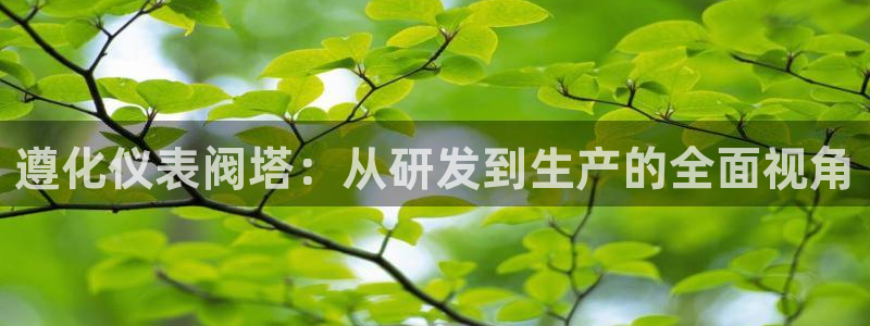 顺盈娱乐主管后原判官333OO