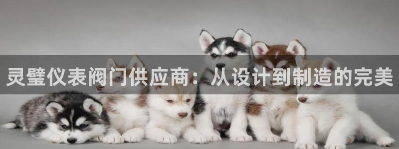 盈顺休闲娱乐室团购