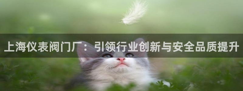 顺盈娱乐彩票官网首页