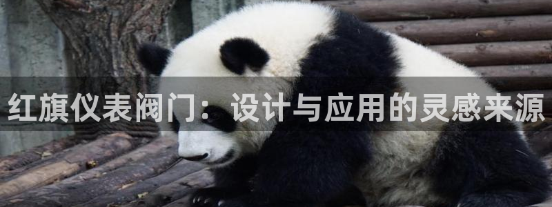 清远市顺盈广场谷哥娱乐ktv