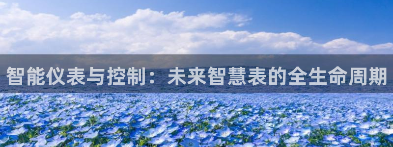 清远顺盈娱乐公司工作