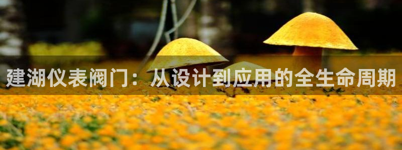 清远顺盈娱乐公司工作