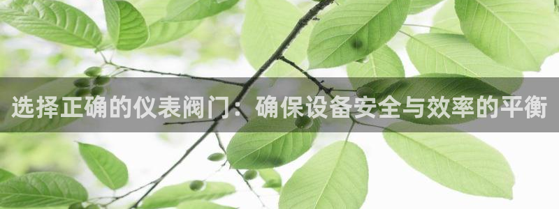 顺盈娱乐语7O777