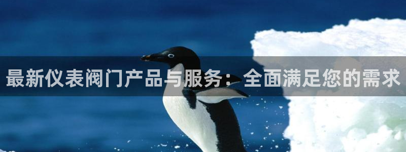 顺盈娱乐棋牌官网