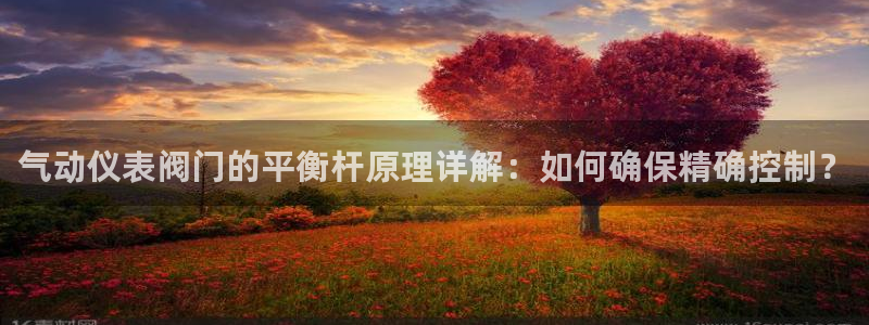 乐摇摇娱乐团购顺盈