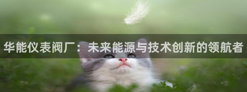 顺盈娱乐 找86555