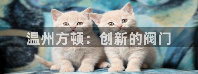 应县盈顺休闲娱乐室电话