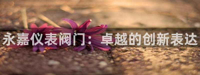 顺盈娱乐注册登录