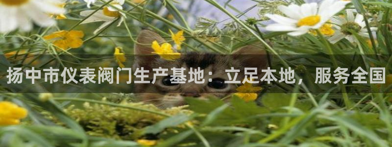 盈顺休闲娱乐室团购券