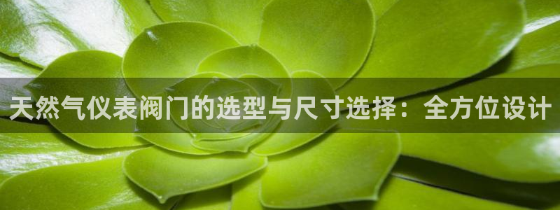 顺盈娱乐公司介绍