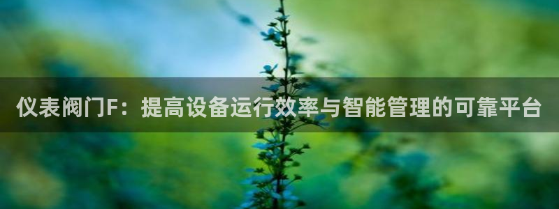 清远顺盈娱乐酒店推荐