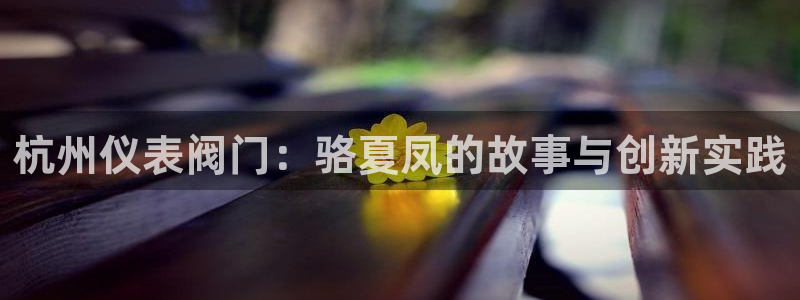 顺盈娱乐下载安装官方版