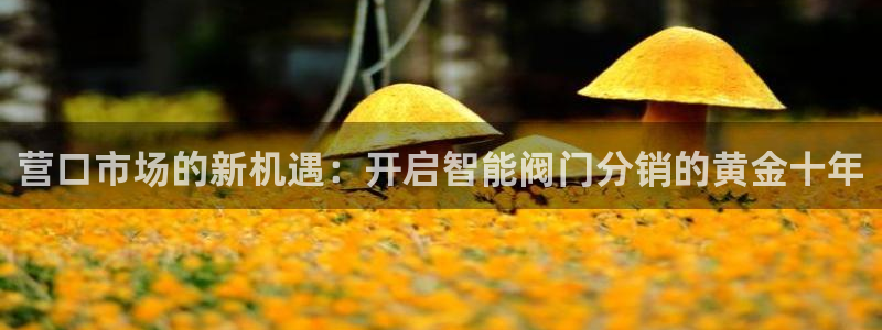 顺盈平台娱乐怎么样