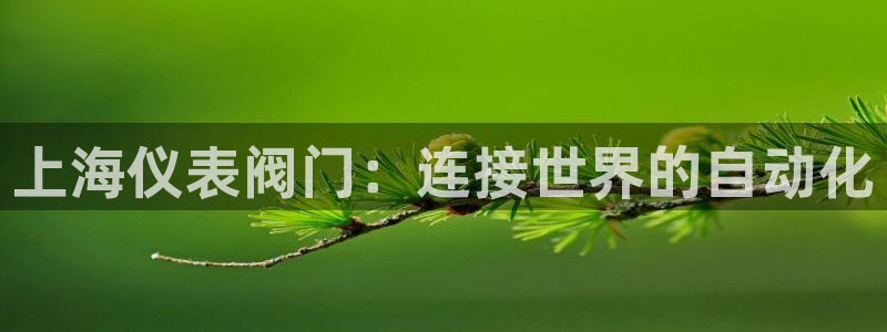 顺盈娱乐注册平台怎么样