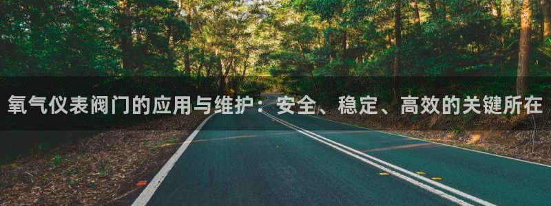 顺盈娱乐那家公司旗下