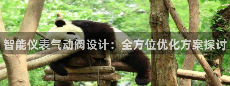 顺盈娱乐下载安装最新版