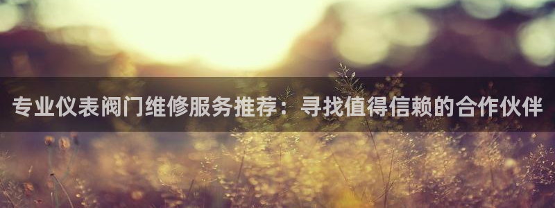 顺盈娱乐登录平台