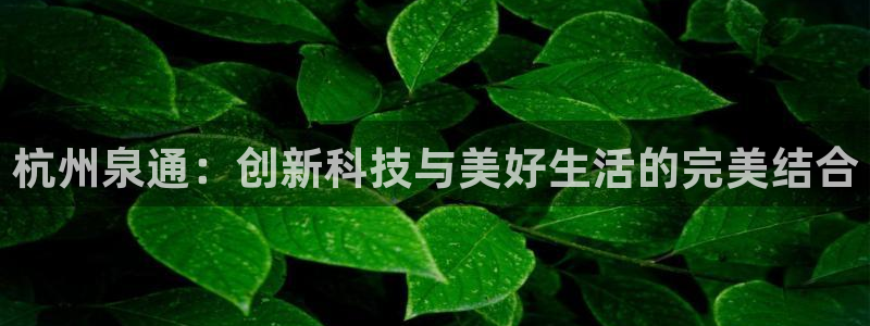清远顺盈娱乐集团