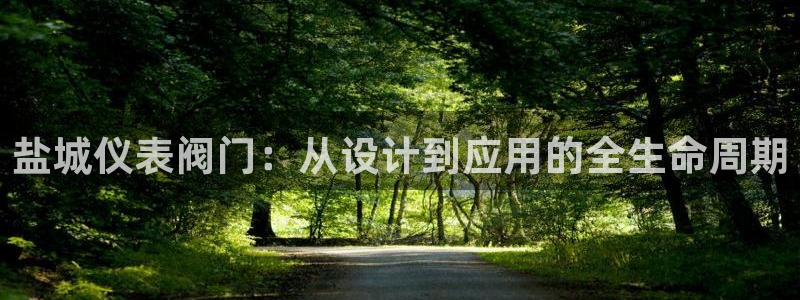 顺盈娱乐登录网址