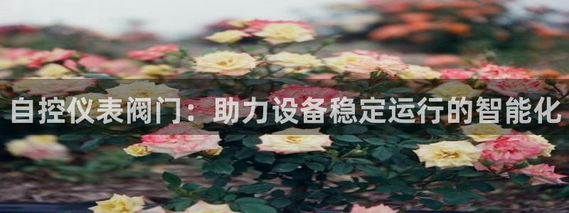 顺盈娱乐招商木判官333OO