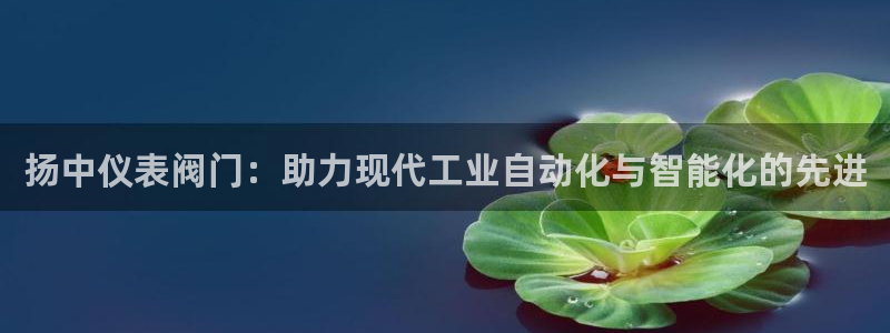 顺盈娱乐下载官网最新版