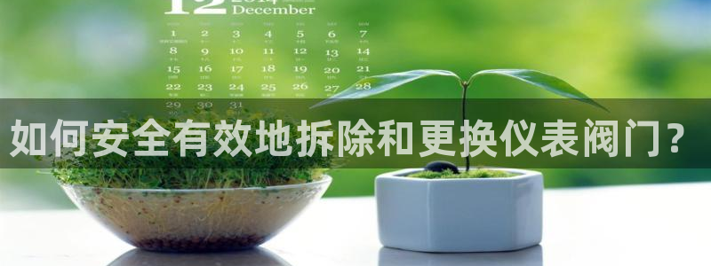 顺盈娱乐队究7276O