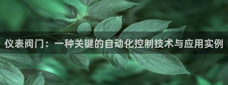 顺盈娱乐找527b.cn升哥