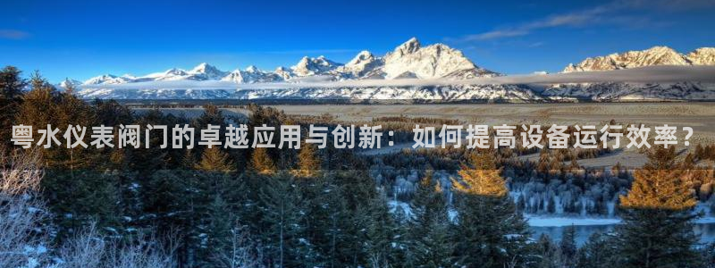 顺盈娱乐招商低判官333OO