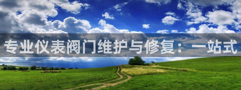 顺盈娱乐在线开户官网