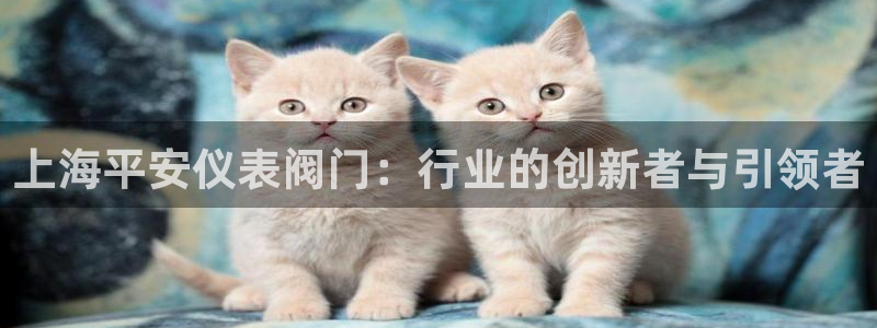 顺盈娱乐注册平台