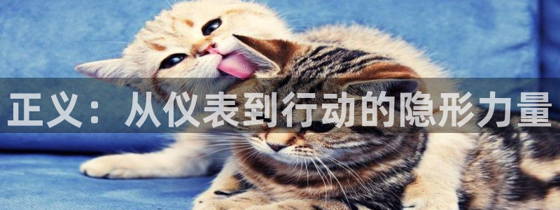 顺盈娱乐注册平台是什么