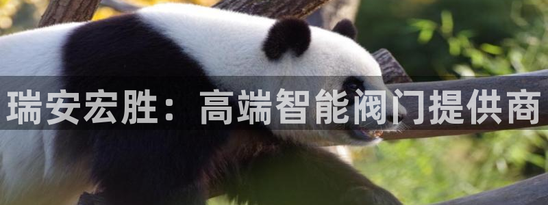 顺盈娱乐代理怎么样了