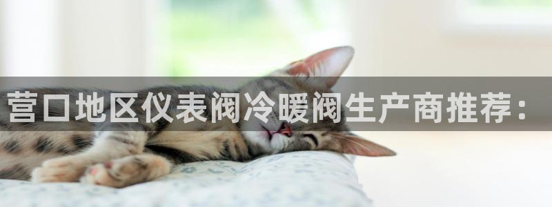 顺盈娱乐代理怎么样做