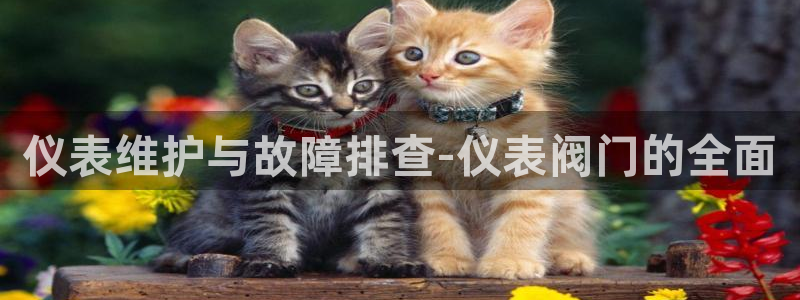 顺盈广场团购娱乐怎么样