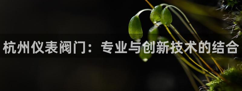 顺盈娱乐队究7276O