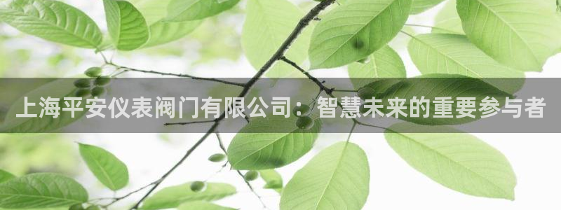 顺盈娱乐下载安装官方版