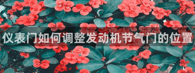 顺盈娱乐平台注册时间