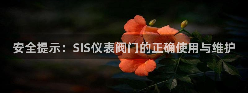 盈顺休闲娱乐室地址