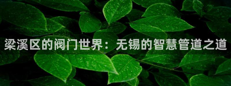 顺盈娱乐下载手机版