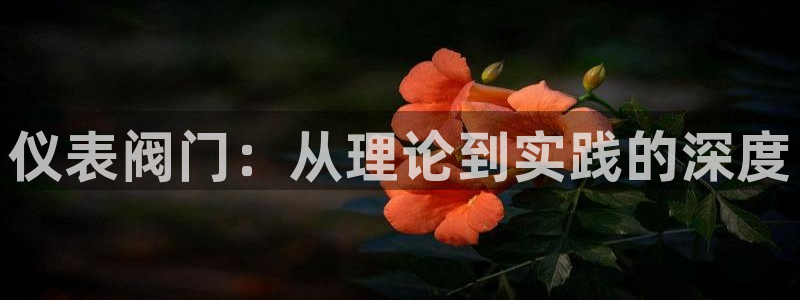 顺盈抖音团购娱乐