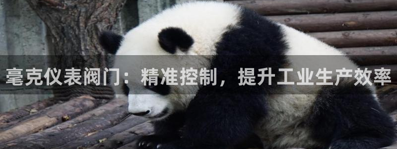 顺盈娱乐下载官网地址