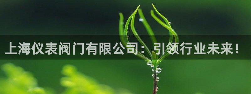 顺盈娱乐代理怎么样