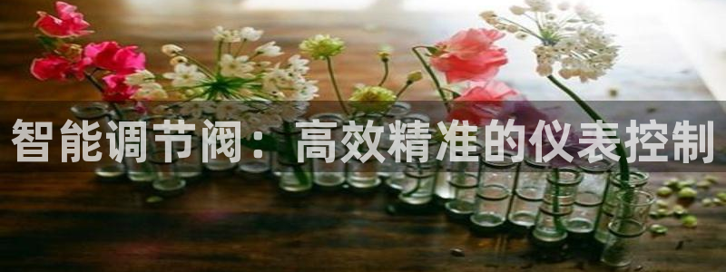 顺盈娱乐注册细7o777