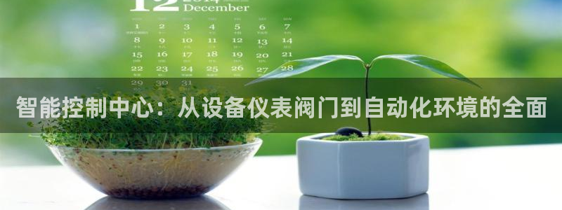 顺盈娱乐主管怎么样