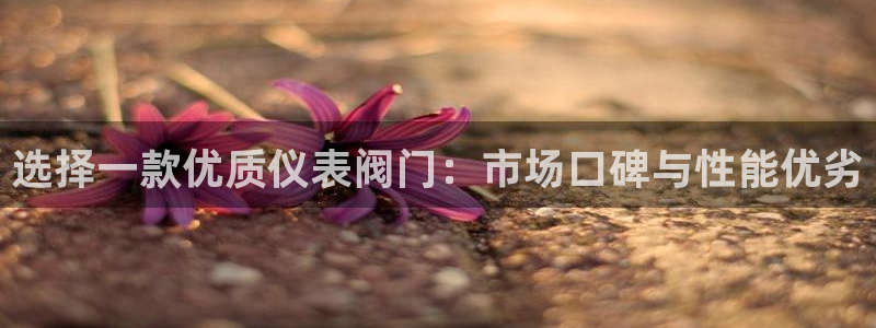 顺盈2娱乐找qv382223