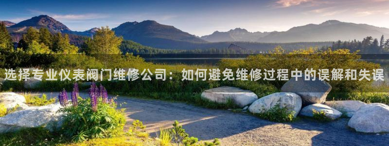 顺盈娱乐下载安装官方