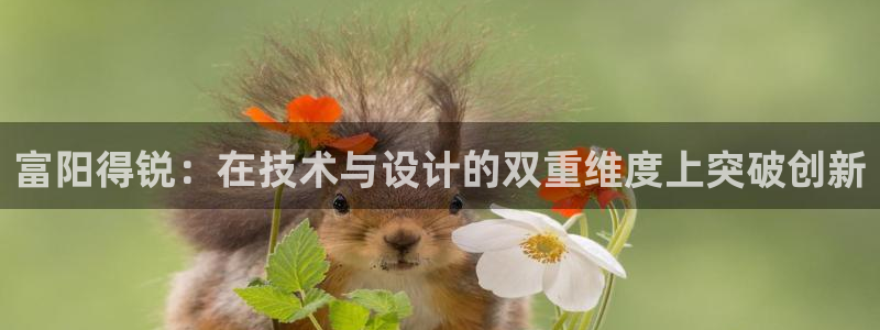 顺盈娱乐最高代理人是谁