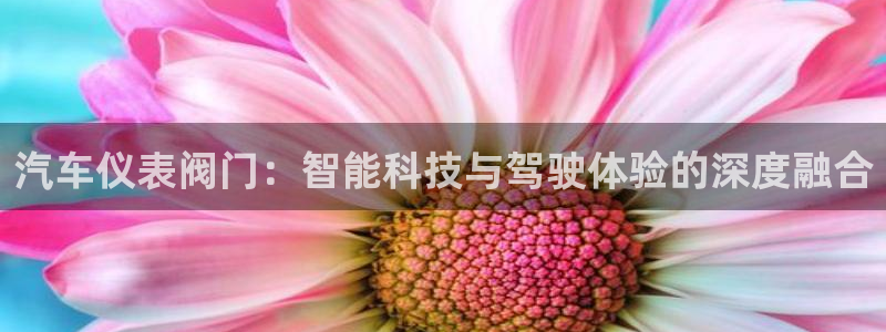 顺盈娱乐注册官网