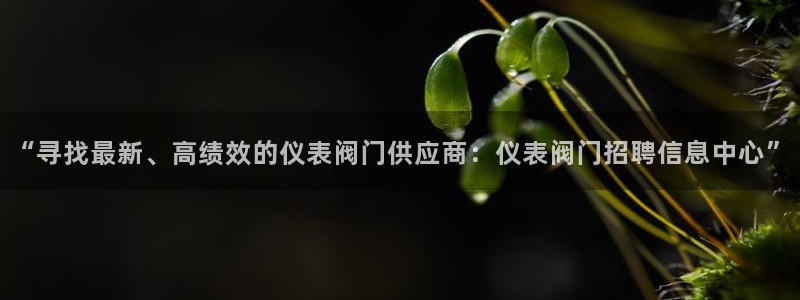 顺盈娱乐登录地址查询