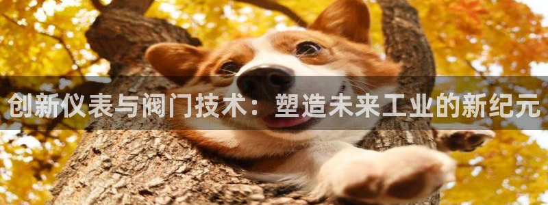 盈顺娱乐休闲室
